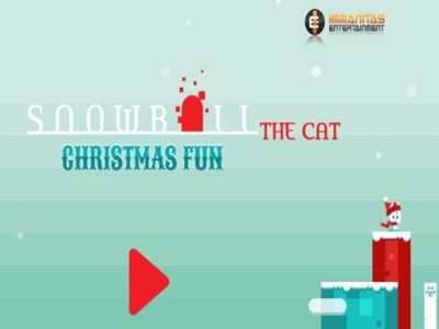 Snowball The Cat Christmas Fun