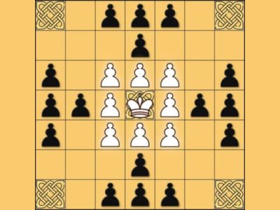 Tafl: viking chess